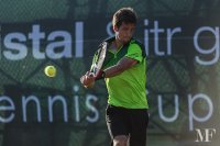 06 aljaz bedene 58 sfsingletodi2014